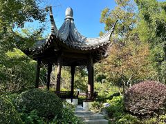 -上海共青森林公园