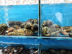 -港畔赶海蒸汽海鲜烧烤自助(仙螺岛店)