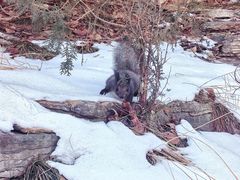 -龙洞风景区-藏龙涧