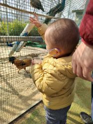 -萌宠亲子动物乐园(槐房万达店)