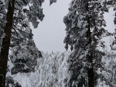 -瓦屋山景区