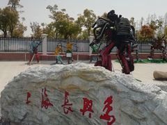 -上海长兴岛郊野公园