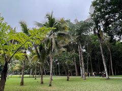 -中国科学院西双版纳热带植物园