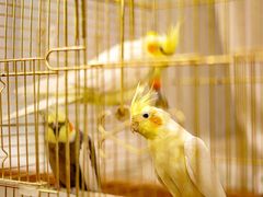 -潇湘·永州会馆(百子湾店)