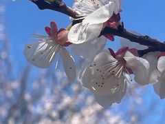 -白塔公园-儿童游乐园