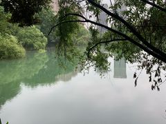 -洋湖国家湿地公园