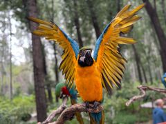 -北京野生动物园