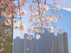 -龙美术馆(西岸馆)