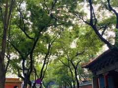 -北京国子监胡同