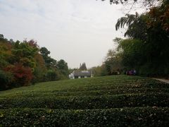 -敬亭山风景名胜区