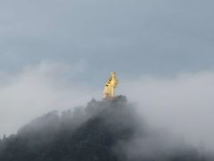 -南山植物园