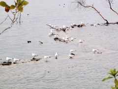 -昆明柏联SPA温泉
