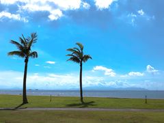 -野狸岛