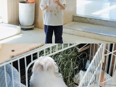 -小意思咖啡店(草桥店)