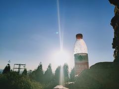 -长虫山生态公园风景林