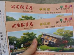 门票-金山农民画村-枫泾波兰倒置屋