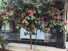 -千百味红餐厅·非遗江西菜(绿地双子塔总店)
