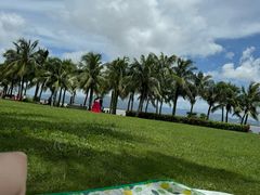 -深圳湾公园(南山区)