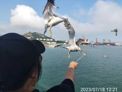 -海驴岛(荣成市)