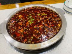 -老表牌·蛙蛙鸡冷锅鱼(成都东站店)
