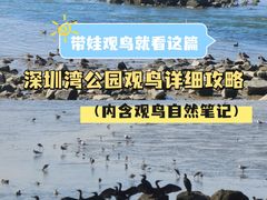 -深圳湾公园(南山区)