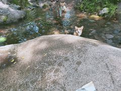 -云岫谷自然风景区