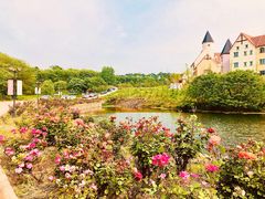 -大塘金香草谷