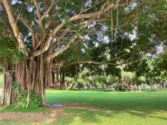 -三亚南山文化旅游区