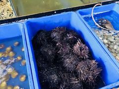 -QQ海鲜餐厅