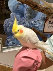 -Zoolung Zoolung动物主题公园(海信广场店)