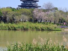 -海珠湖公园