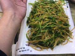 -翠花上酸菜