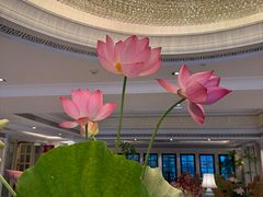 -福建鲤鱼洲酒店