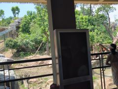 -宁波野生动物园