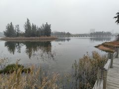 -五里桥文化公园-西侧停车场