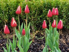 -漕溪路(地铁站)