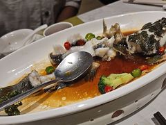 -顺意·顺德家乡菜(国际人才大厦店)