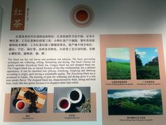 -中国茶叶博物馆(双峰馆区)