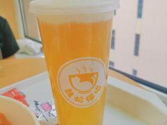 蜜桃乌龙奶盖-鼓捣猫呢主题猫咖店