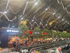 -谢列梅捷沃国际机场