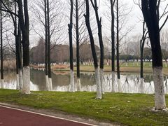 -艾溪湖湿地公园