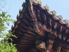 -白台寺