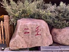 -徂徕山森林康养度假谷温泉