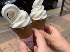 -富豪雪糕车流动点(尖沙咀店)