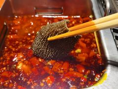 -海底捞火锅(长宁路龙之梦店)