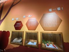 -中国大熊猫保护研究中心雅安碧峰峡基地