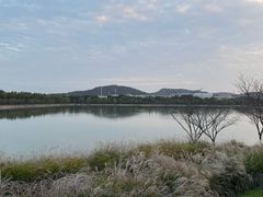 -羊山湖公园