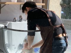 -佐罗家宠物馆·猫文化馆(紫霞路店)