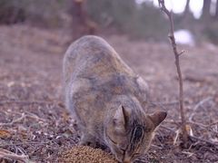 -野鸭湖国家湿地公园