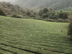 -敬亭山风景名胜区